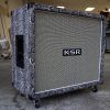 2x12HW Black Snake On Dock 100x100